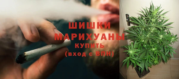 сатива Абаза