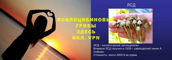 spice Алзамай